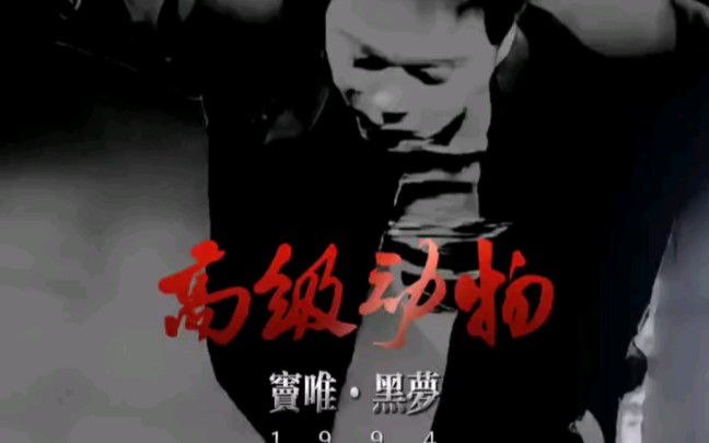 这尾奏 你爱不爱?窦唯高级动物