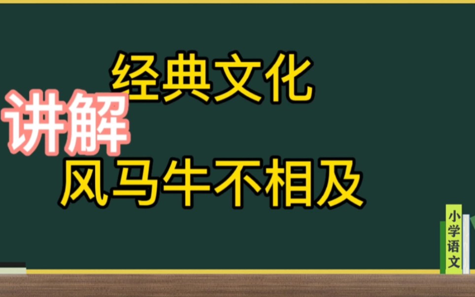 风马牛不相及讲解哔哩哔哩bilibili