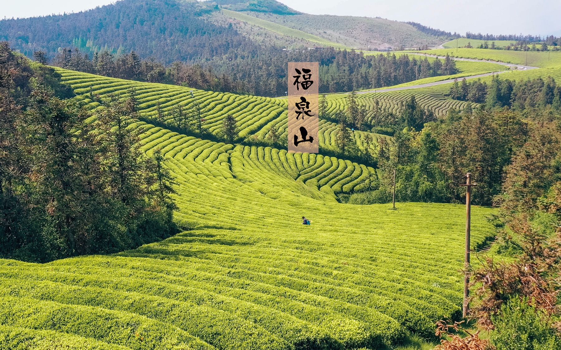 【御mavic2 pro 】 宁波福泉山半日游