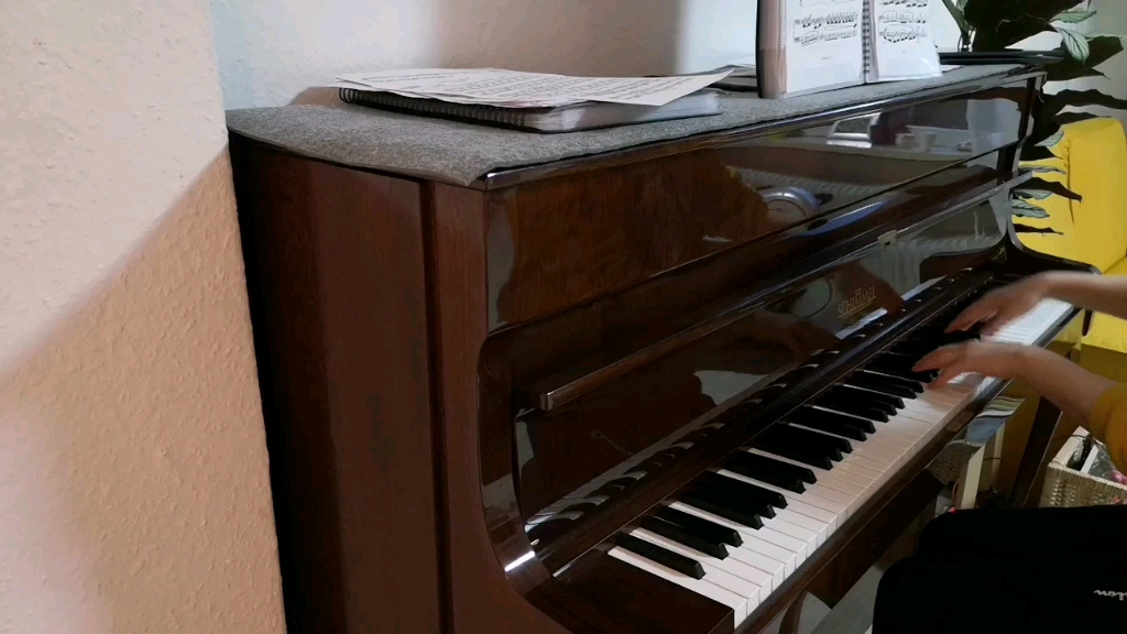 【钢琴】拉威尔《水之嬉戏》终于顺下来了