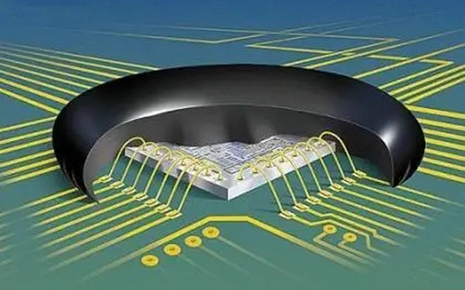 牛屎片草图片及功效(牛屎片草:神奇的中药材,功效多多)