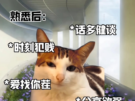 当你和火象做朋友#火象星座 #星座#猫meme小剧场#岁岁搜一搜哔哩哔哩bilibili