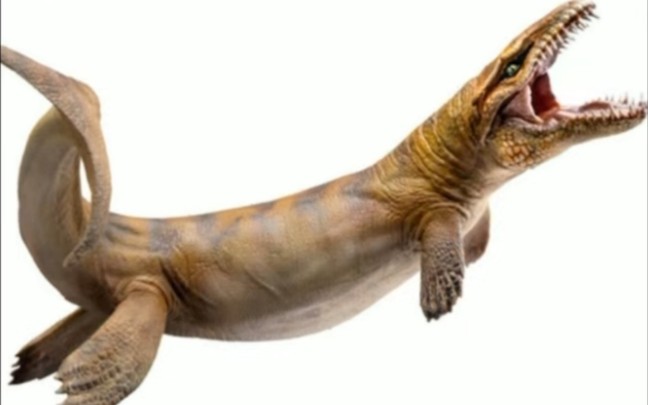 汪洋鼍蛟海鳄亚目