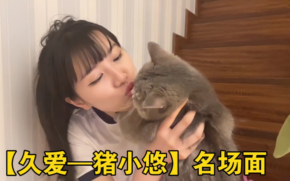 【久爱—猪小悠】名场面!哔哩哔哩bilibili