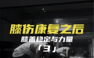 Download Video: 【康复训练】膝盖稳定与力量3