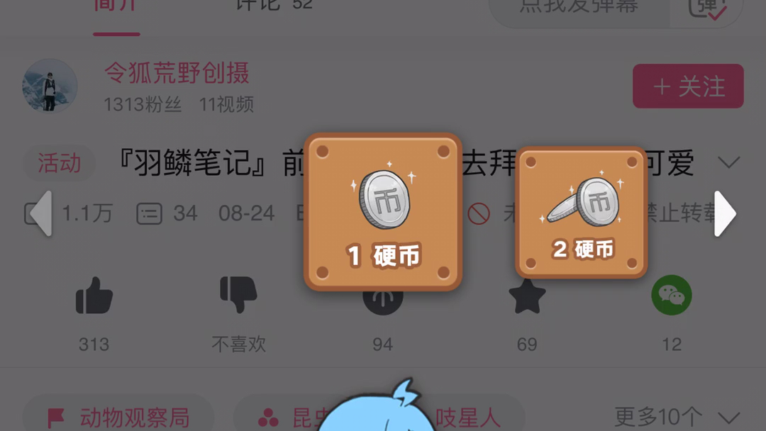 无限投币_哔哩哔哩_bilibili