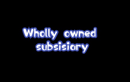 【我教我自己】Company accounting  wholly owned subsidiary哔哩哔哩bilibili