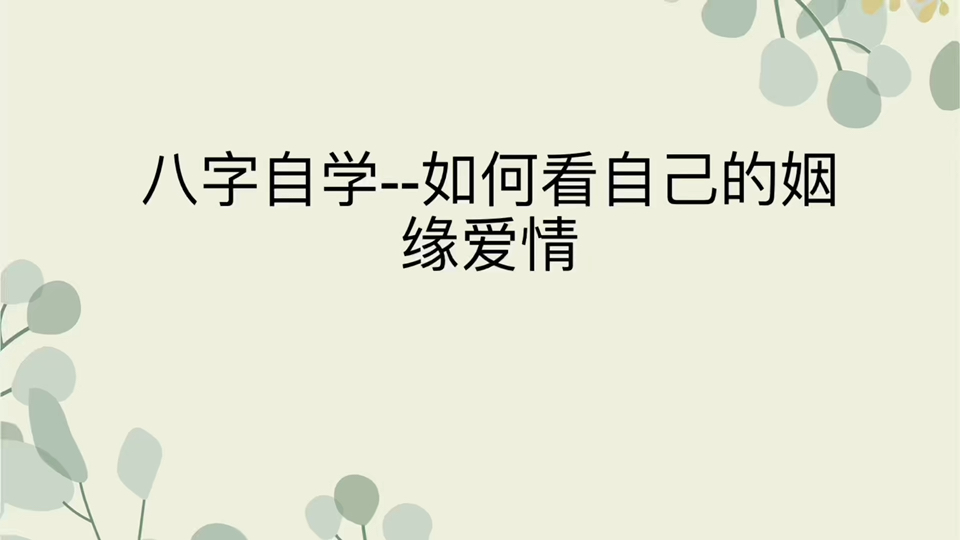 如何通过八字看自己的婚姻和对象,玄学哔哩哔哩bilibili