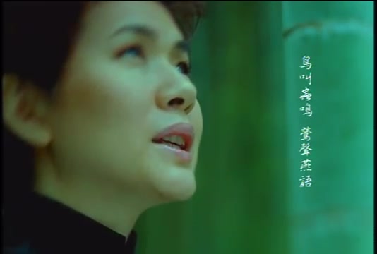 [图]张清芳 --- 花雨夜 （丰华官方清晰版MV）