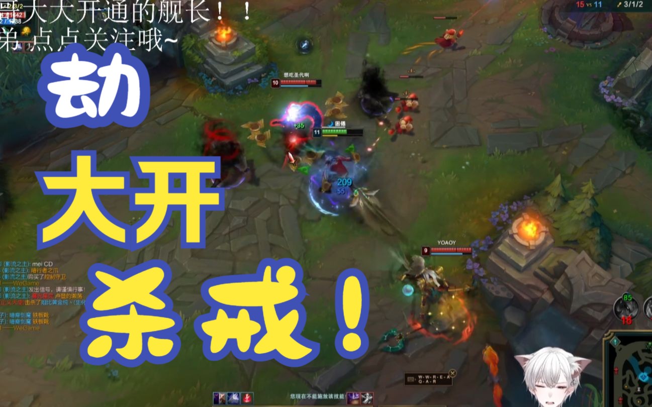 《大开杀戒》