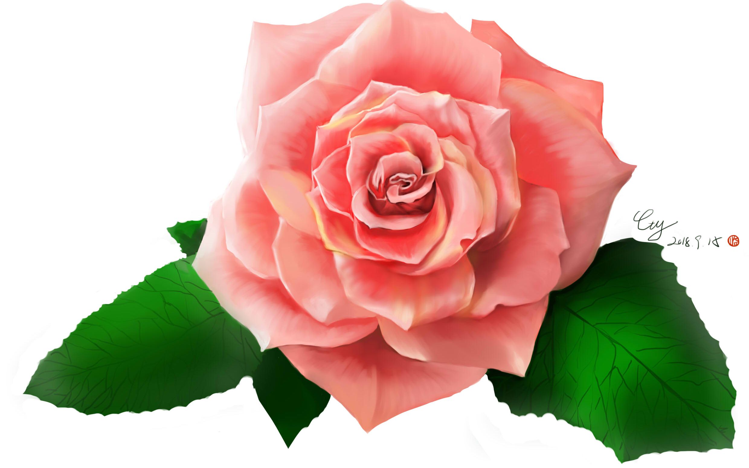 玫瑰(厚涂练习一)