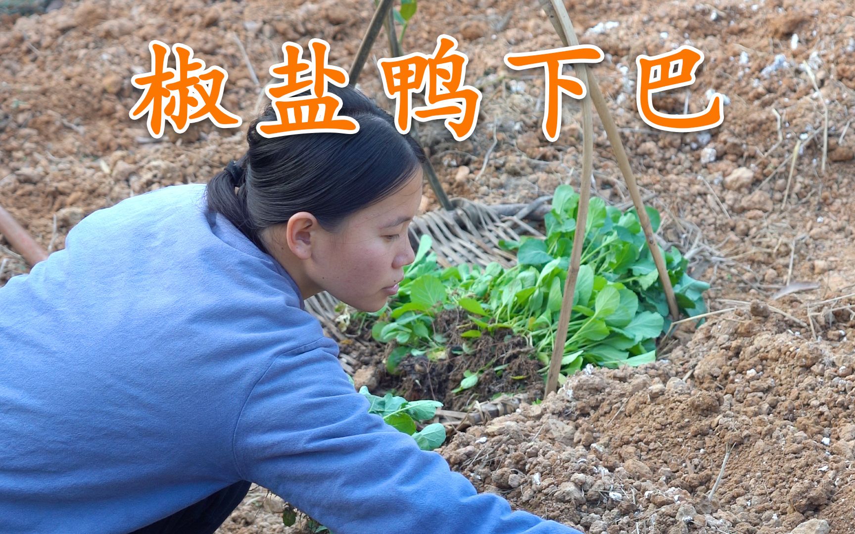 在后山再种上些菜苗,这样就有更多青菜吃啦,晚上做道椒盐鸭下巴哔哩哔哩bilibili