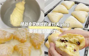 Descargar video: 下班后挑战自学烘焙的第15天丨今天学做蔓越莓奶酪欧包