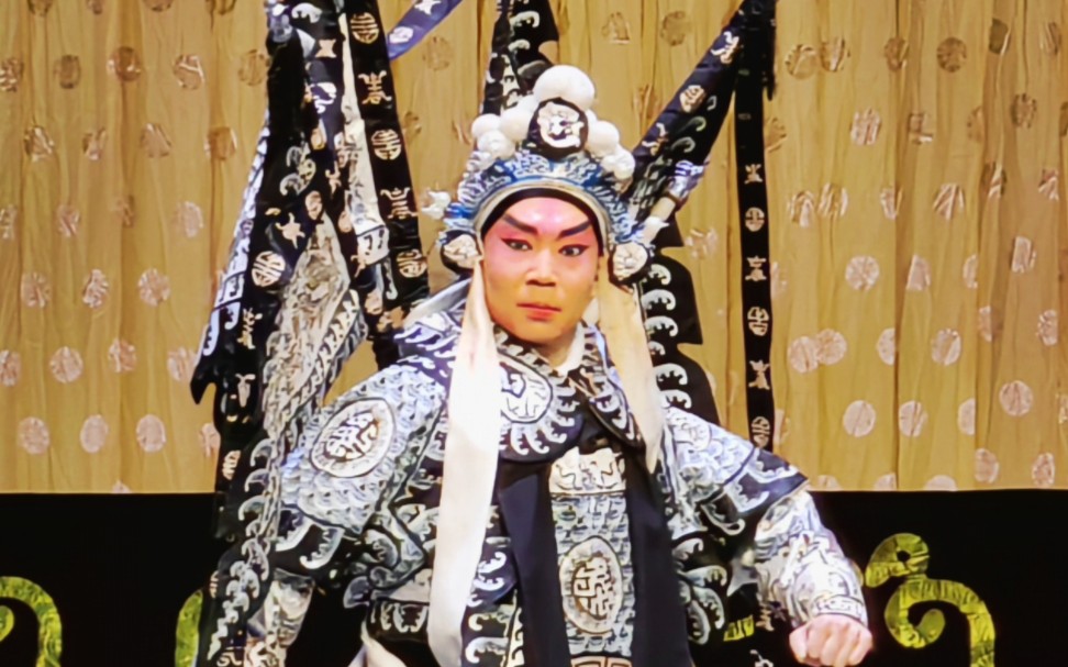 【京剧】看了就是赚了 王大兴 反西凉