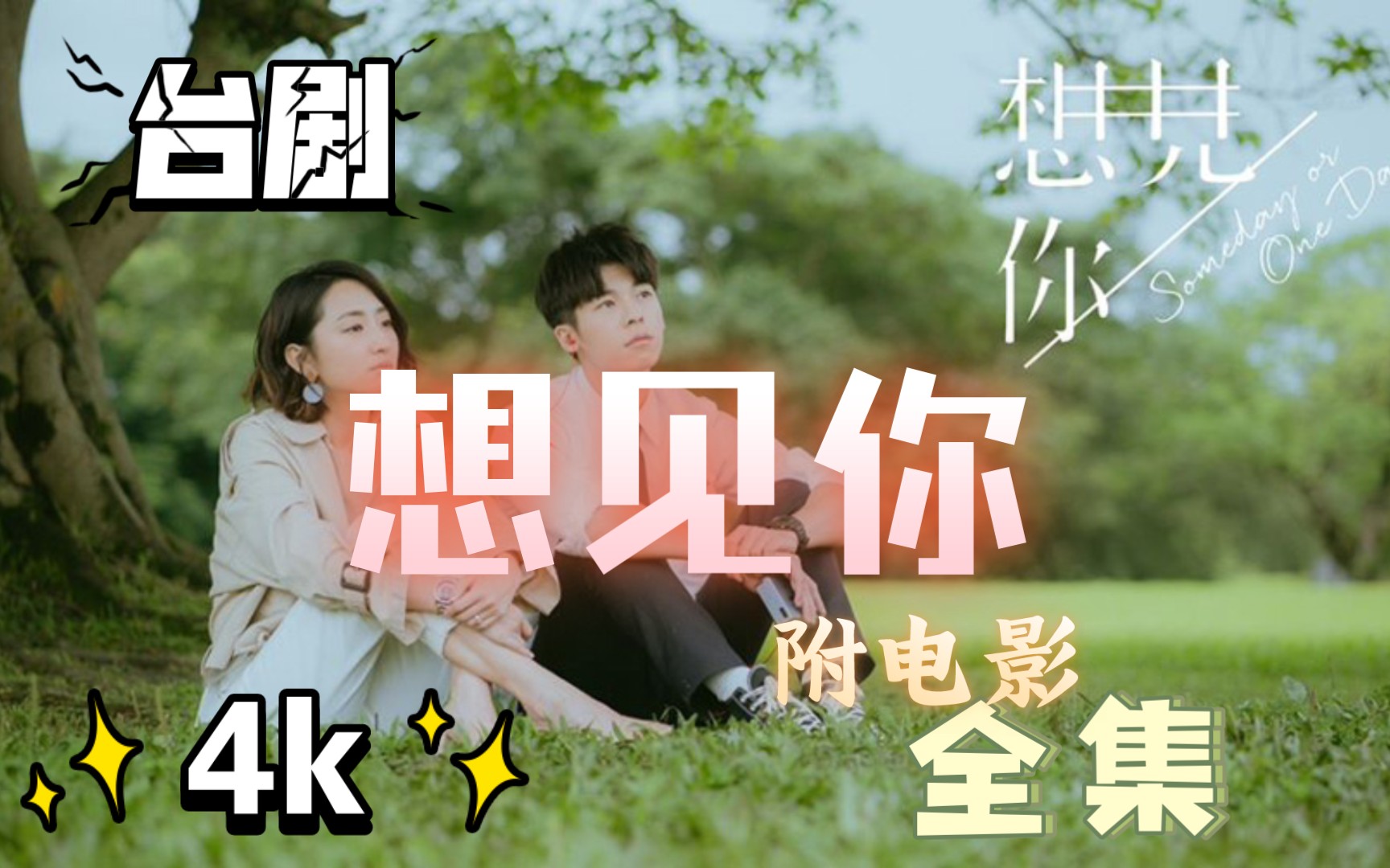 台剧 想见你 原版全集附电影 4k超清