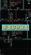 Download Video: 侧面筋的放置