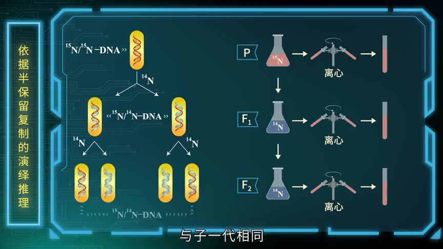 高中生物必修二合集哔哩哔哩bilibili