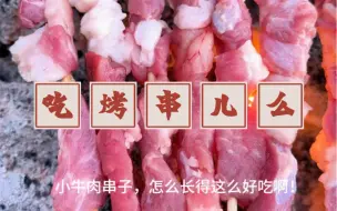 Download Video: 牛肉串还是羊肉串？