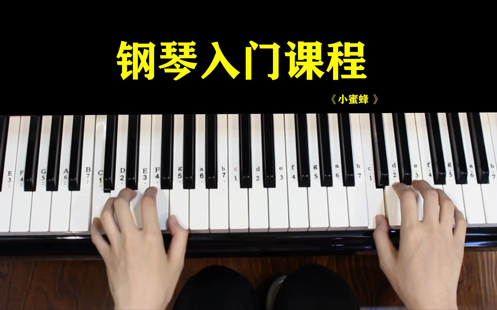 【零基礎鋼琴入門課程】每首曲子左手 右手 雙手分步驟詳細講解.