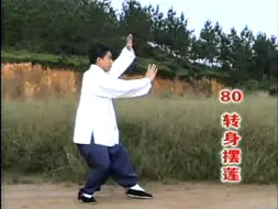 Download Video: 杨式太极拳85式 套路分解 第三段 4（学习）