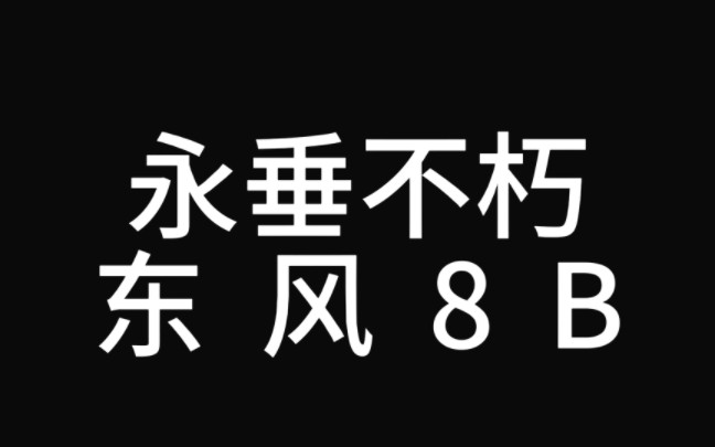 永垂不朽,东风8B!哔哩哔哩bilibili