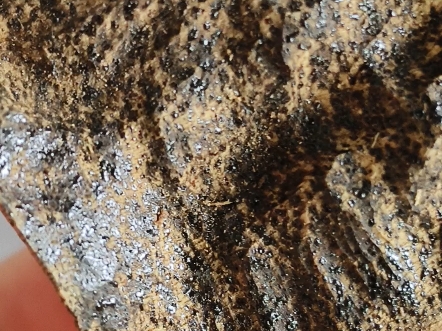 老沉香表面已经结晶啦,看着流口水哈,越南芽庄老沉香