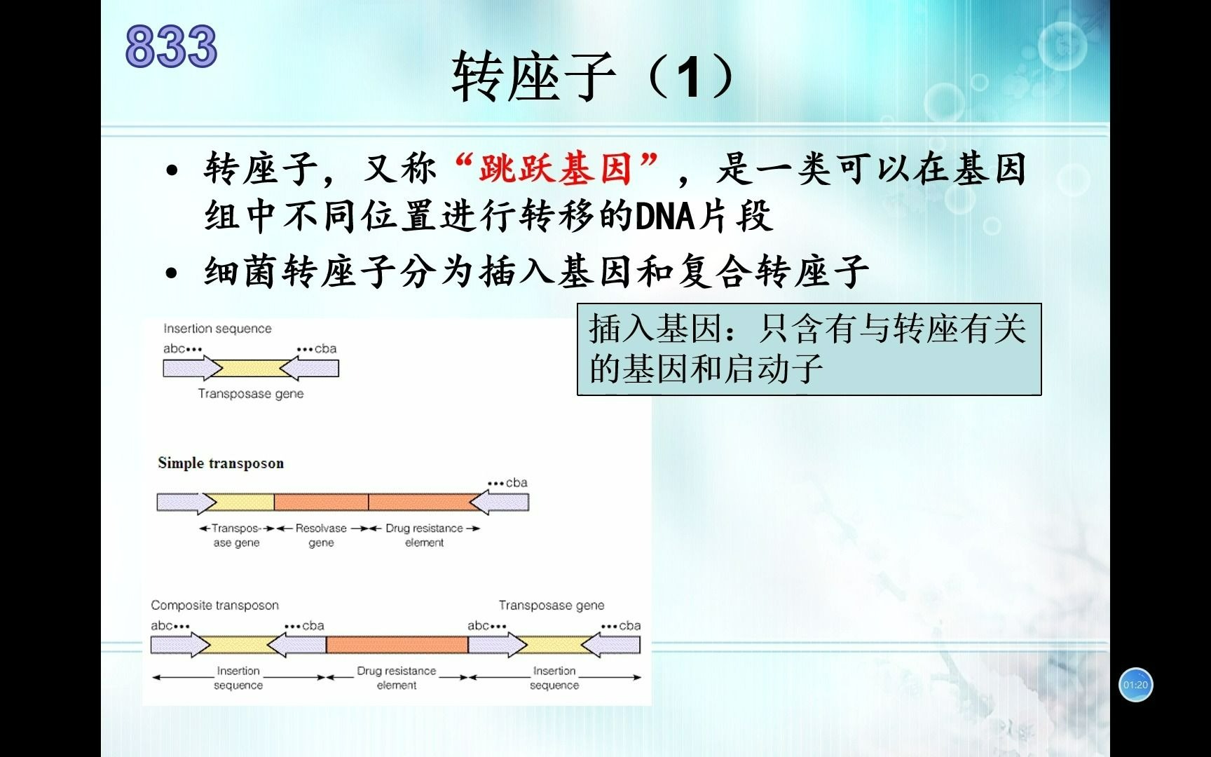 生物竞赛难点21分子生物学转座子哔哩哔哩bilibili