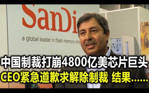 中国制裁打崩4800亿美芯片巨头 CEO 紧急道歉求解除制裁结果..哔哩哔哩bilibili