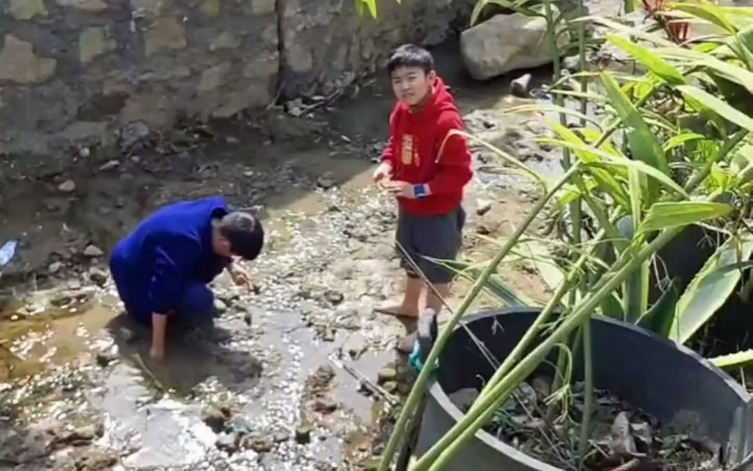 [图]1 春日生活：阳春三月正是一年春好时，一部手机记录美丽的春天