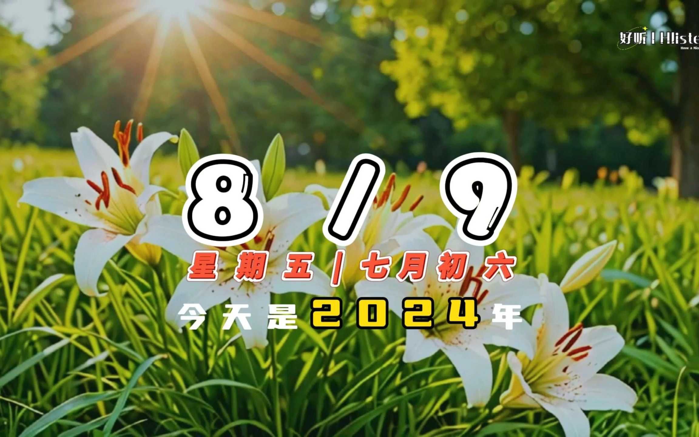 6月11号 B站