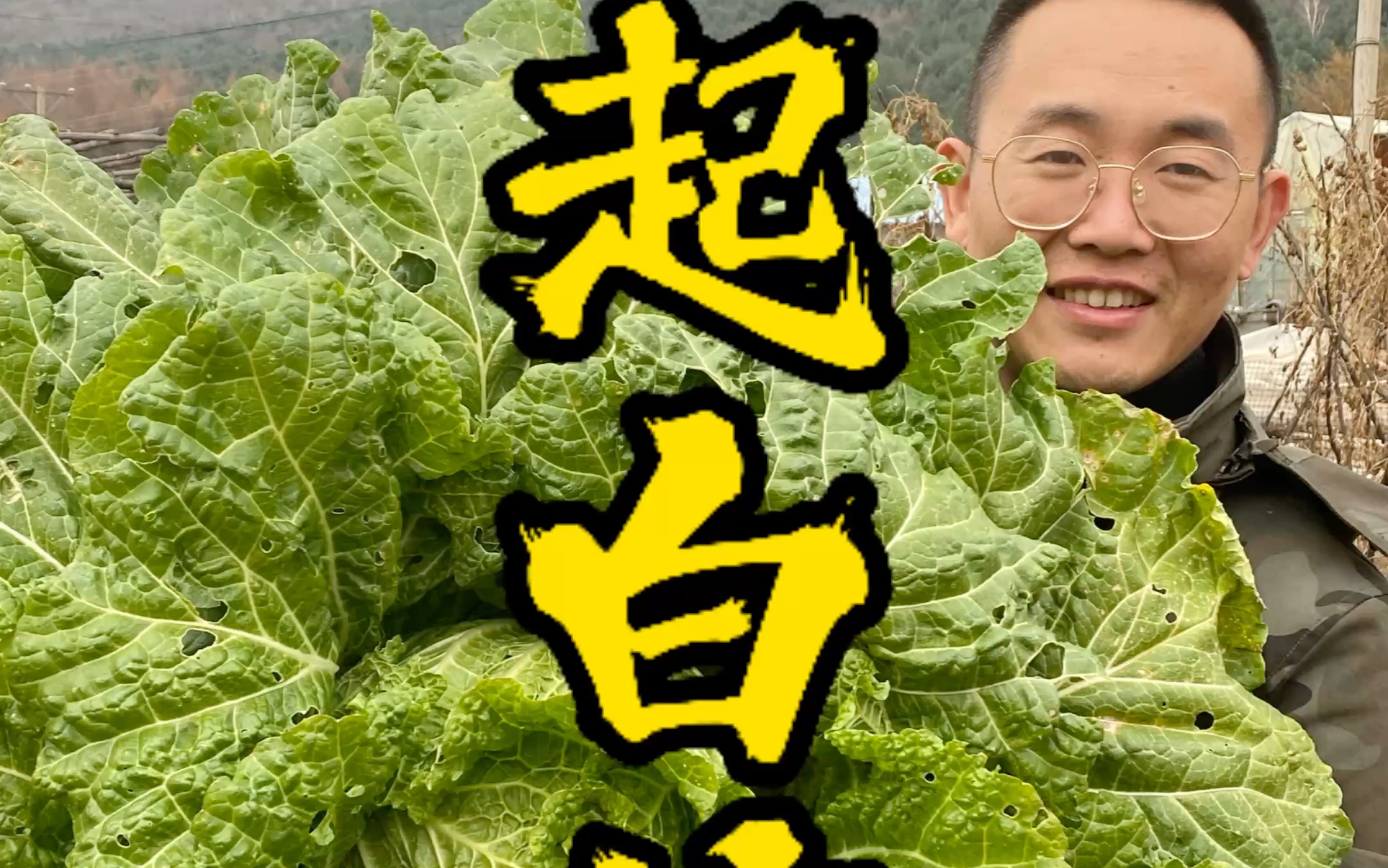 东北林区生活,起白菜腌酸菜,还是自家种的白菜好吃哔哩哔哩bilibili