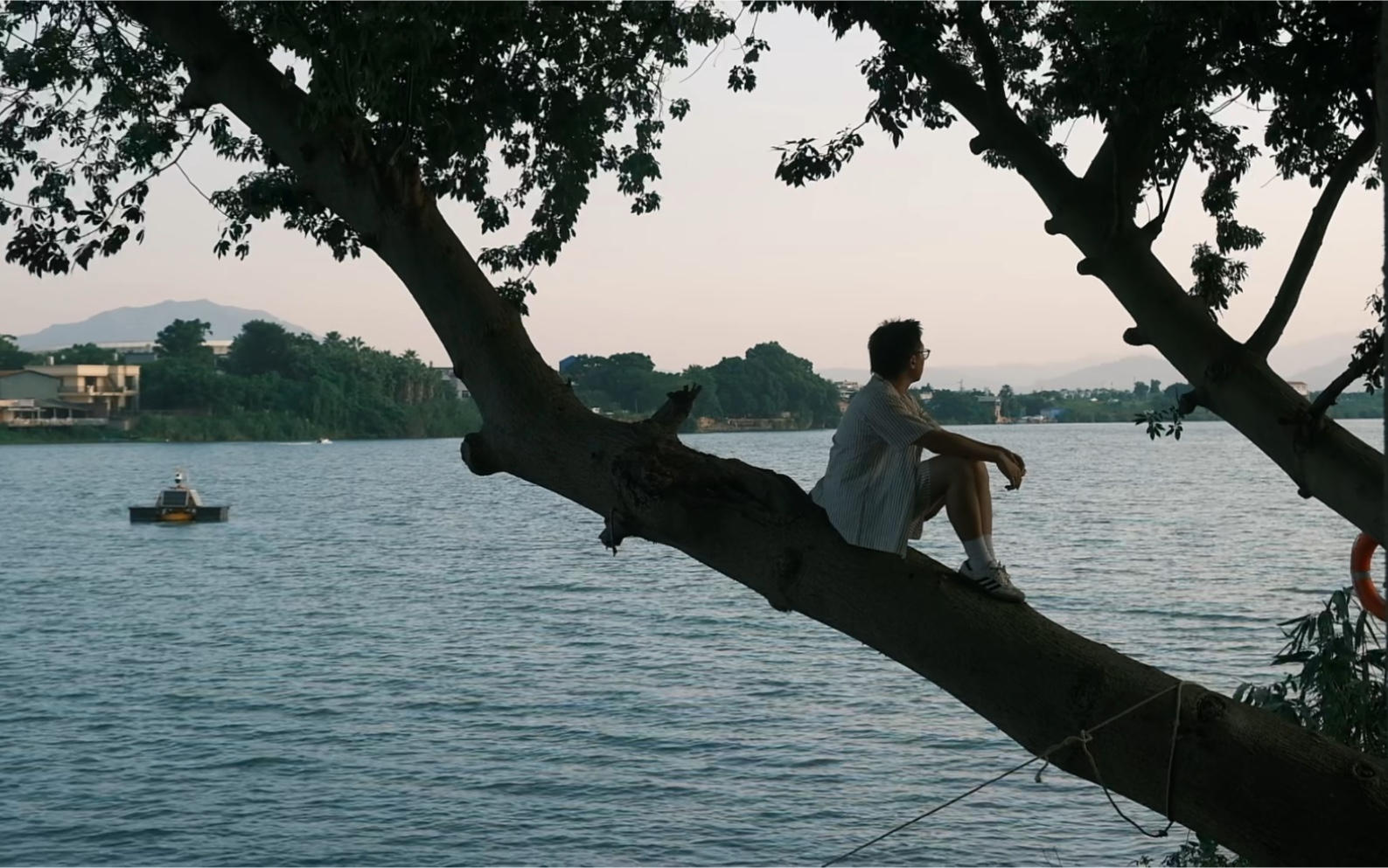 我的夏天像电影|人就该待在没有天花板的地方