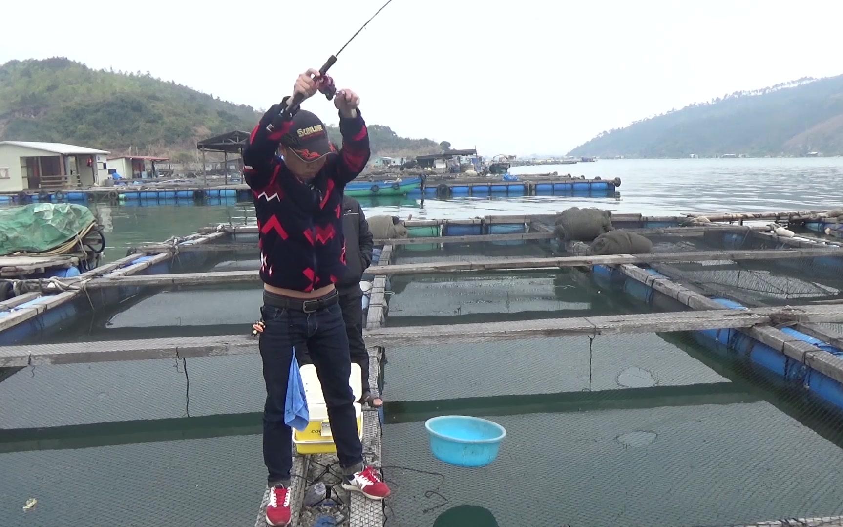 鱼排筏竿钓花鲈现场实拍活虾篇