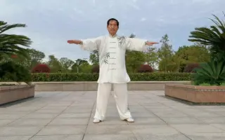 杨式太极拳 哔哩哔哩 Bilibili