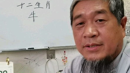 十二属相 牛哔哩哔哩bilibili