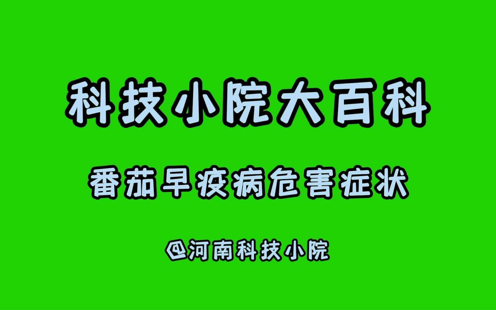 [图]【科技小院大讲堂】番茄早疫病的危害症状