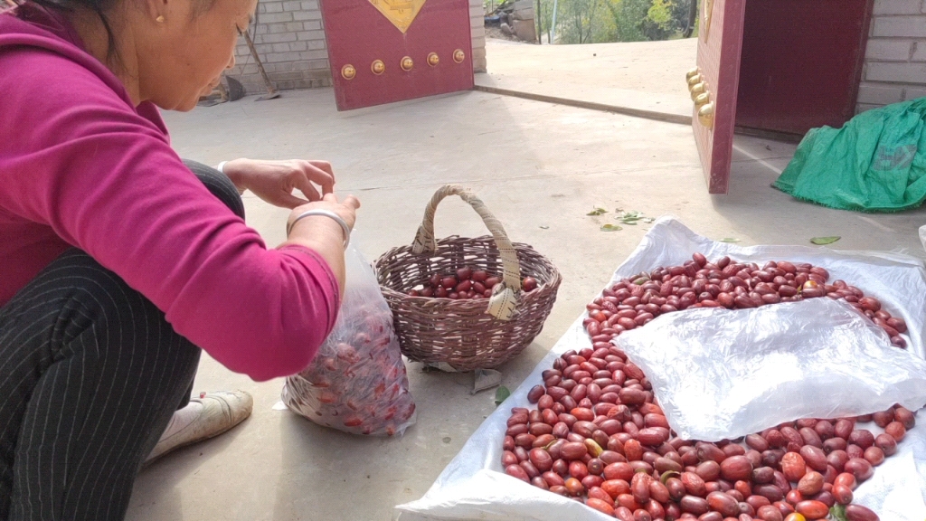 [图]陕北大山人家，酒枣制作过程，简单又美味