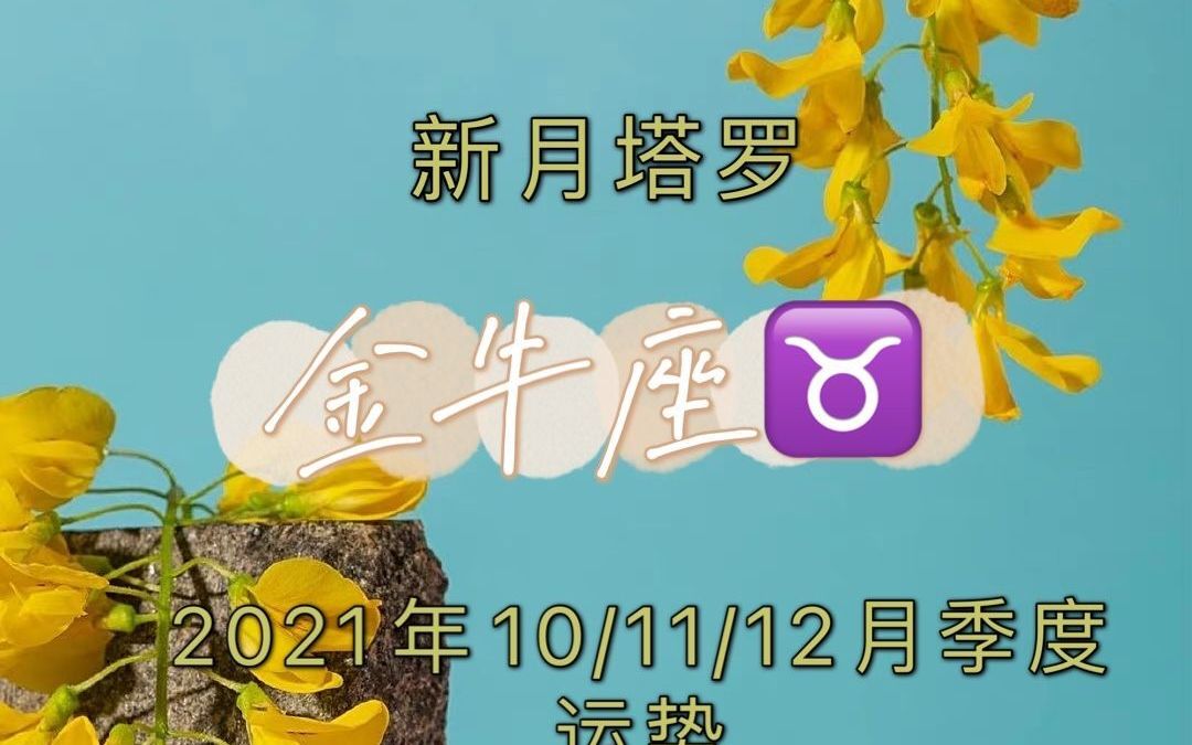 新月塔罗:金牛座10/11/12月运势,表面放弃但内心始终走不出来哔哩哔哩bilibili