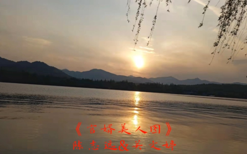 《官婿美人图》陈志远小说全章节小说TXT在线免费阅读哔哩哔哩bilibili