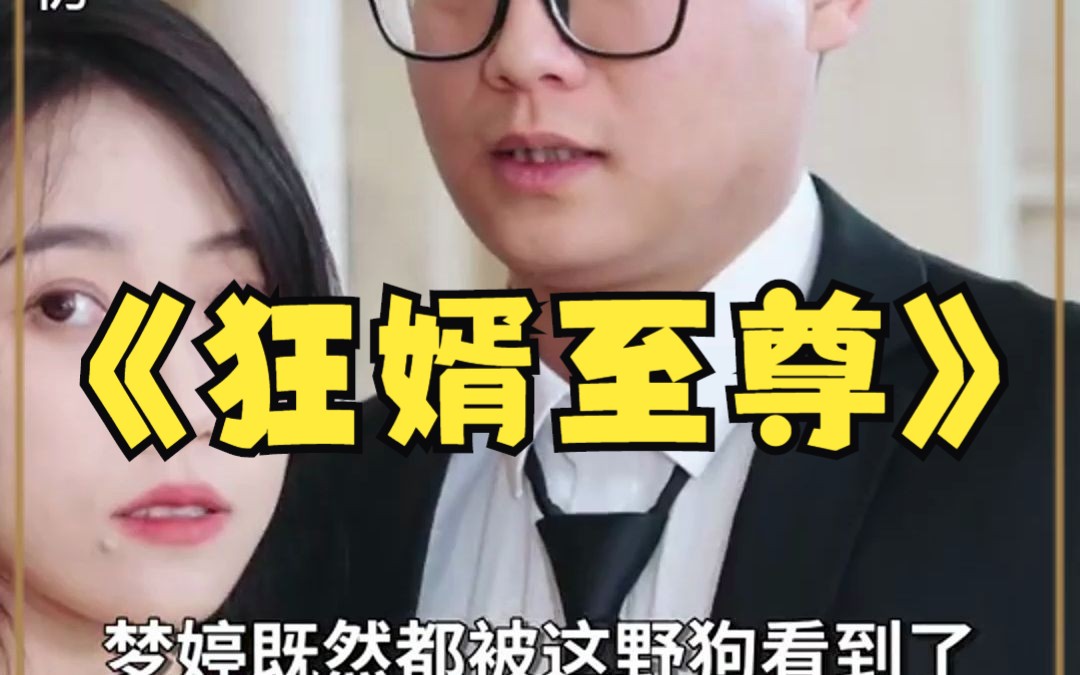 [图]狂婿至尊(1-100集)