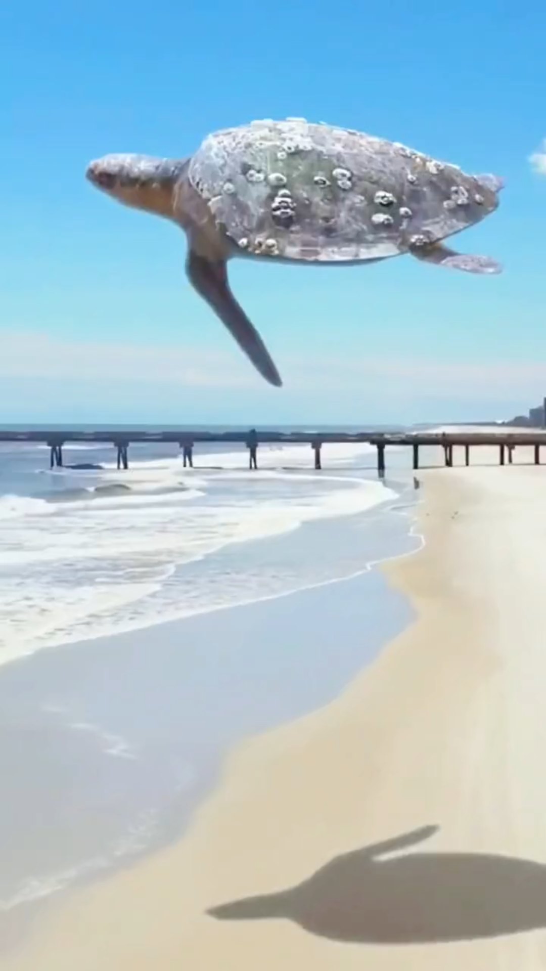 起飞的感觉很舒服,是会飞的乌龟