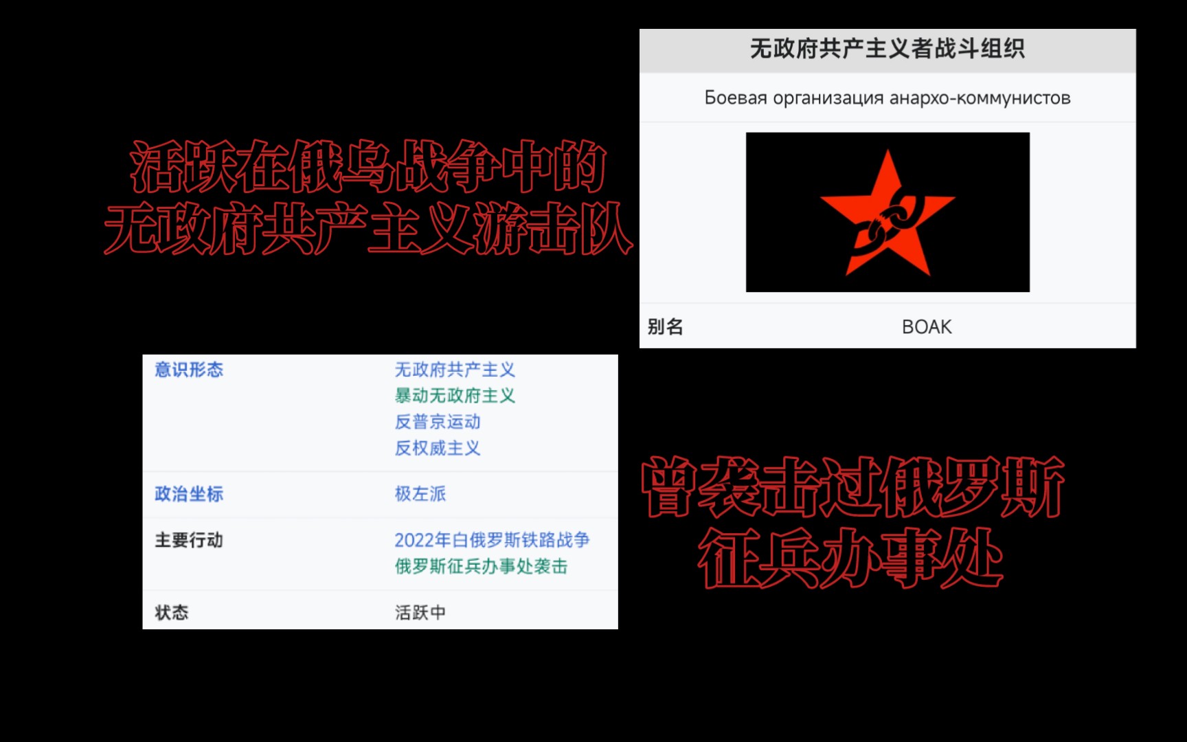 无政府共产主义者战斗组织是什么?哔哩哔哩bilibili