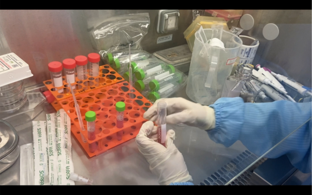 细胞复苏实验步骤