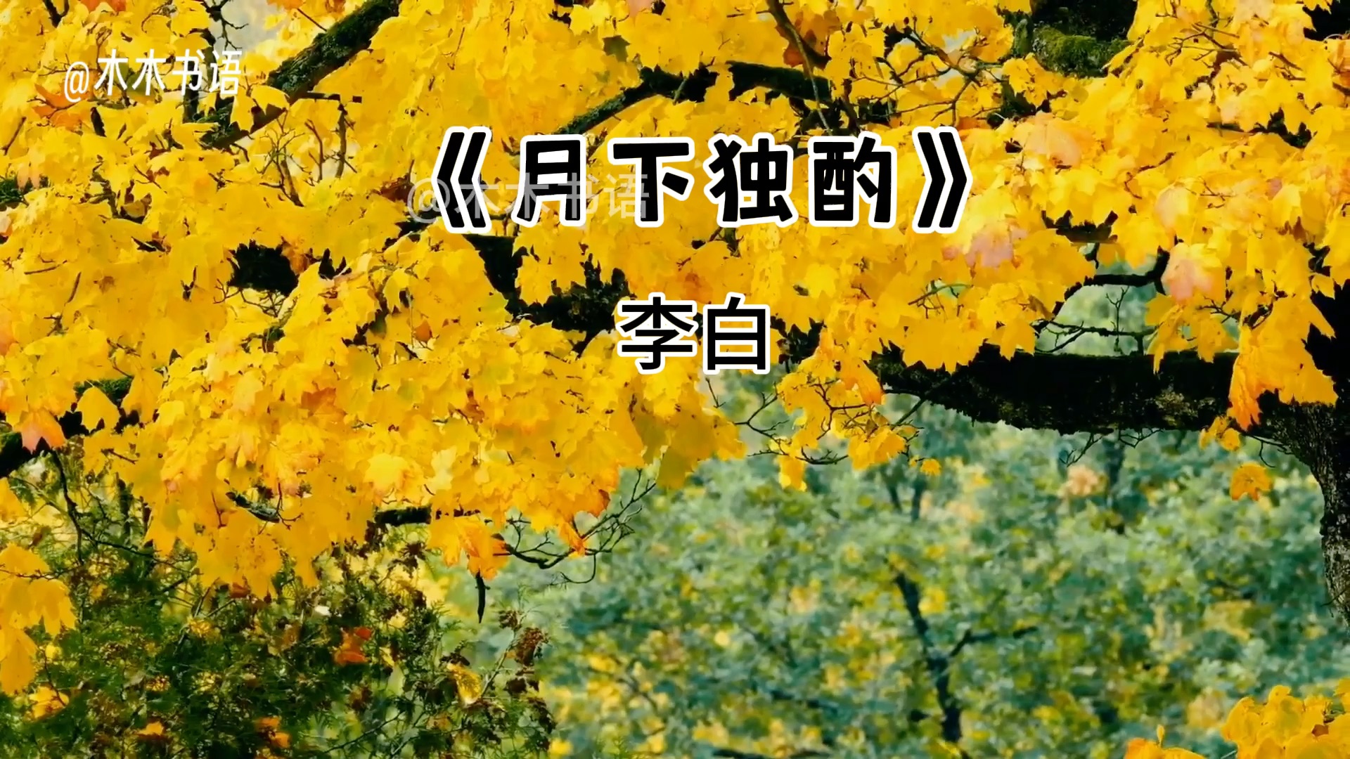 《月下獨酌》李白,花間一壺酒,獨酌無相親