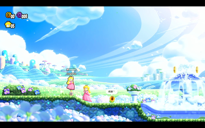 【超级马里奥惊奇】公主立牌到底有什么用呀?