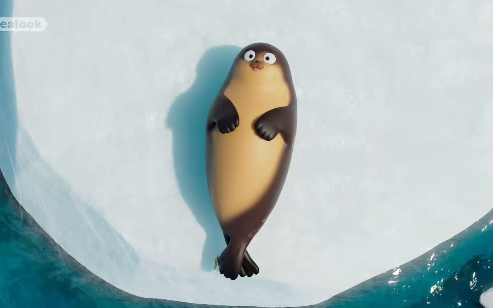 快乐悠闲转圈圈的海豹#可爱小海豹#治愈系#呆萌可爱