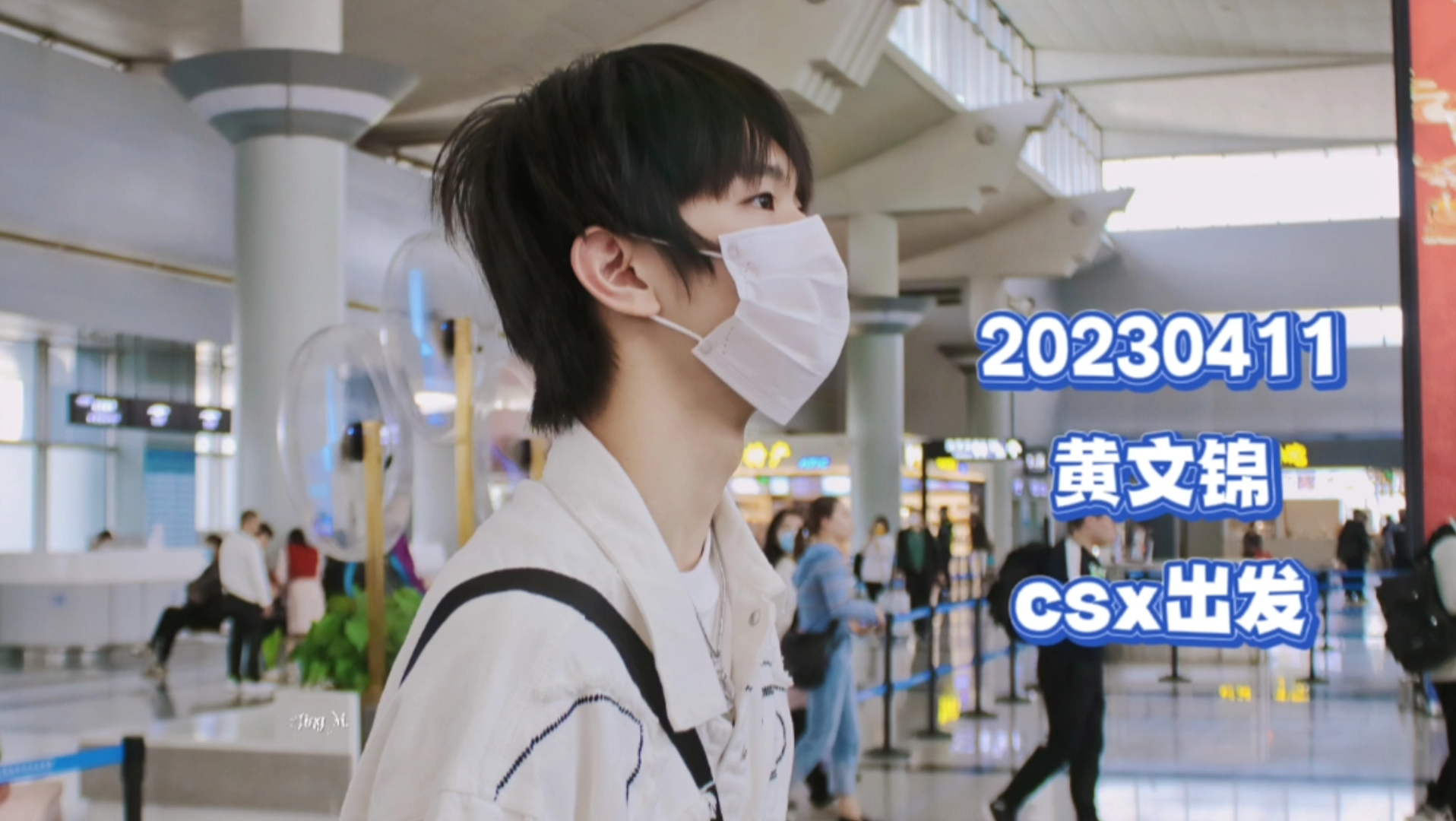 【Project C黄文锦】逗小猫很有意思不是么 20230411 csx出发哔哩哔哩bilibili