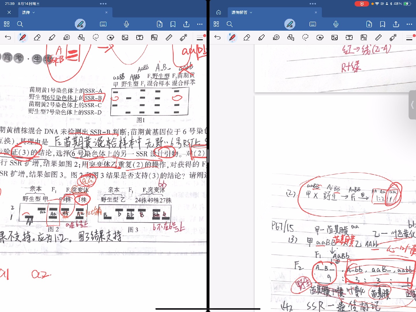 第十章自由组合定律15题,(5)