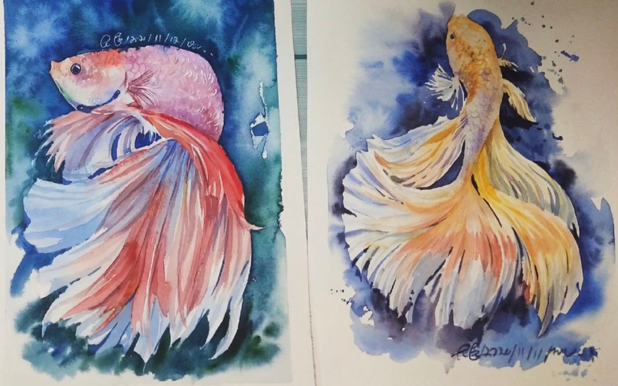 画一个带来好运的神仙鱼—水彩绘画过程