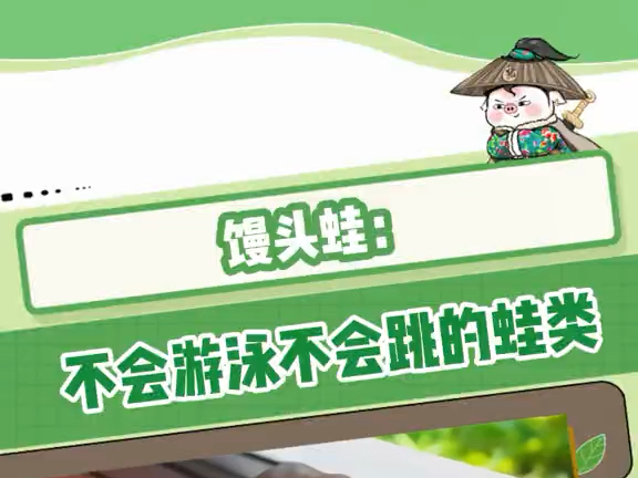 原来青蛙也会有烦恼吗?哔哩哔哩bilibili